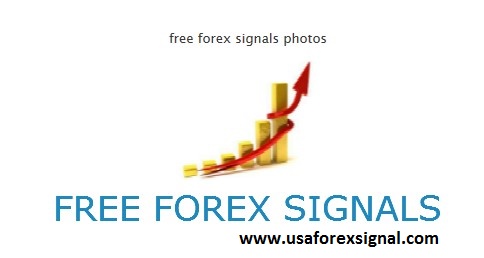 free forex signals that work